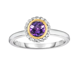 18K & Sterling Silver Polished Birthstone Size-7 Ring